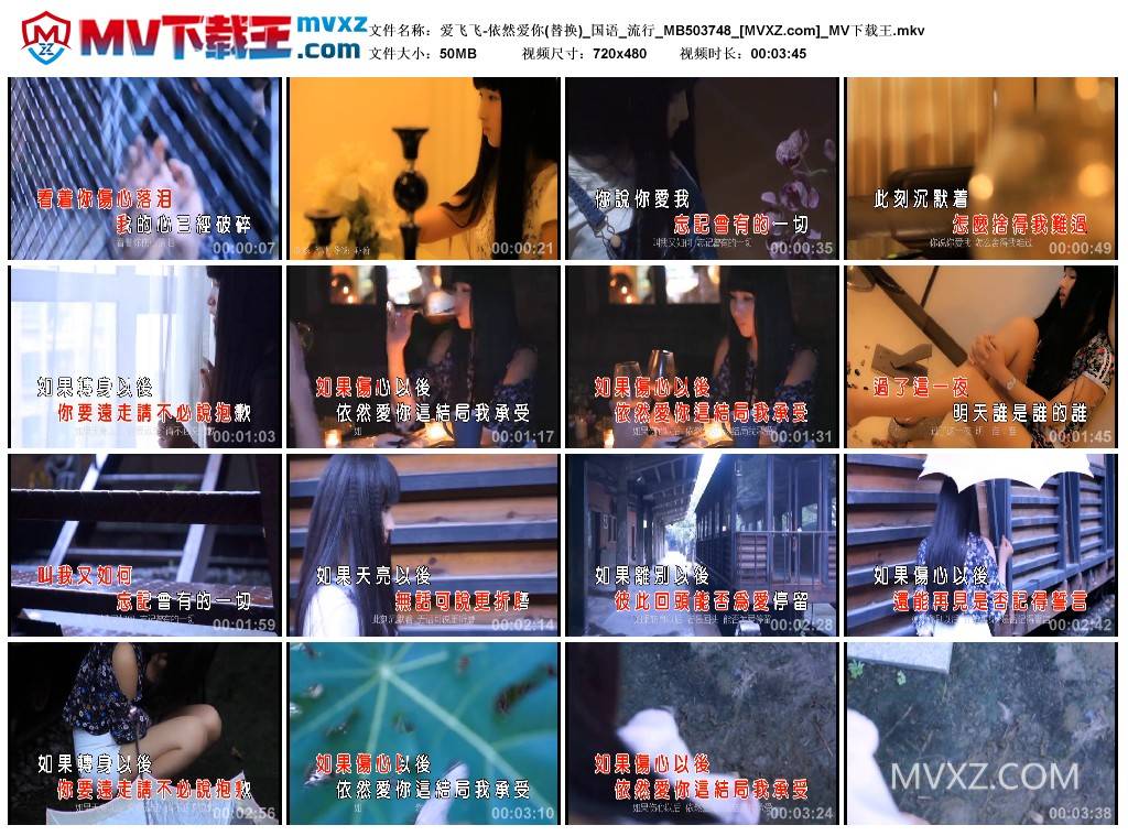 爱飞飞-依然爱你(替换)_国语_流行_MB503748